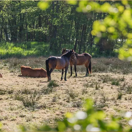 Διαμέρισμα Village Igelnest Benz (Usedom)
